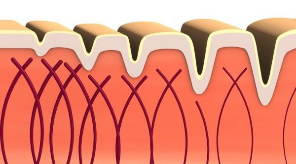 Collagen fibers and wrinkles bőröregedés kollagén